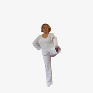 AYŞE BELGİN ALPAY